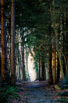 Kleurrijk doorkijkje