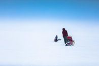 Sled tour with clear blue sky by Martijn Smeets thumbnail