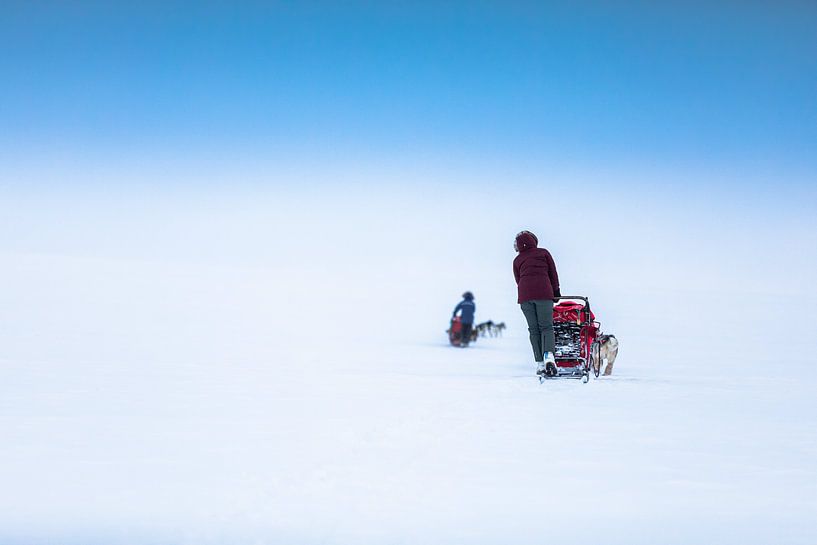 Sled tour with clear blue sky by Martijn Smeets