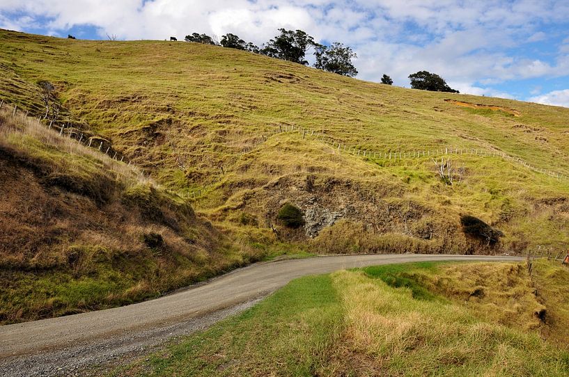 The wild beauty of the Coromandel Peninsula by Frank Photos