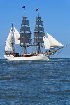 Triple masted barque Artemis classic sailing ship sailing on the Waddensea by Sjoerd van der Wal Photography