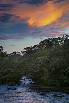 River near the island of Awarradam in Suriname by René Holtslag