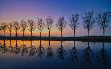 bomenrij reflectie bij zonsopkomst van peterheinspictures