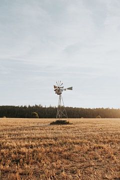 Vieux moulin dans un champ de maïs à la campagne en France sur Iris van Tricht