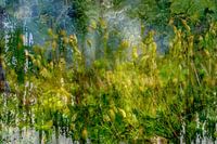 Natuur achter glazen wand