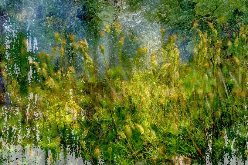 Natuur achter glazen wand van Eugene Winthagen