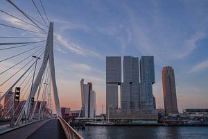 Erasmusbrug van Captured By Manon