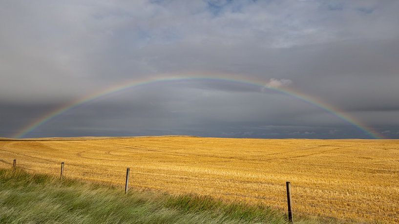 Volle regenboog boven geoogste akker van Canadese prairie van Christiaan Poot