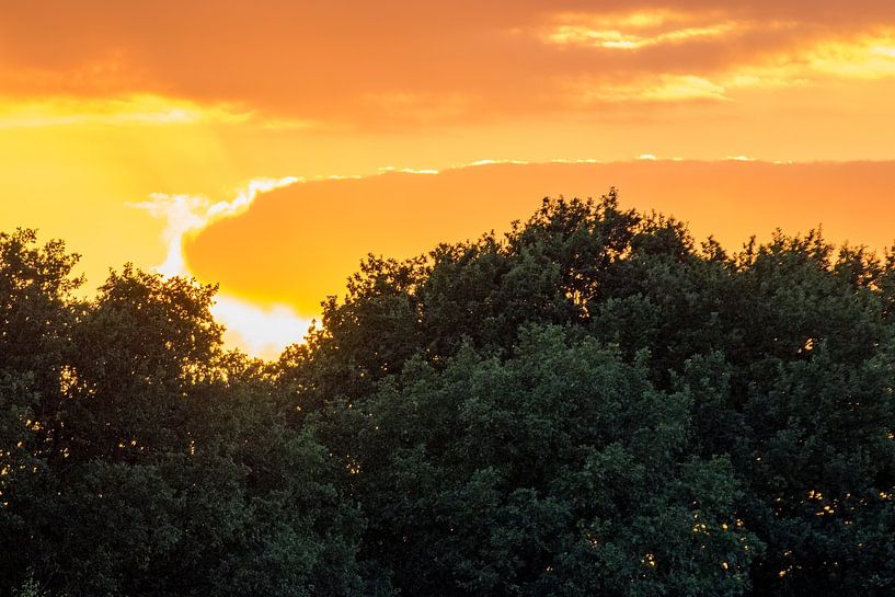 Goldener Sonnenuntergang von whmpictures .com