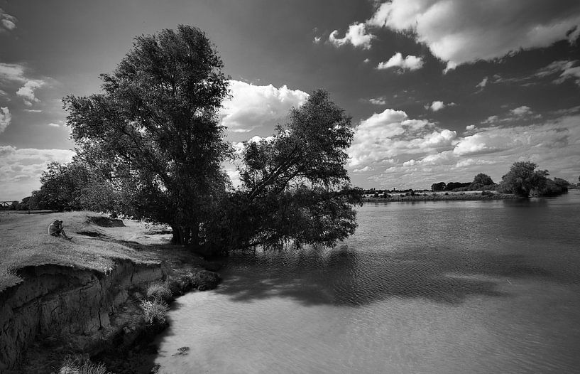Rêver sur les rives de la Meuse à Den Bosch par Jasper van de Gein Photography