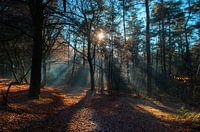 Magische stralen