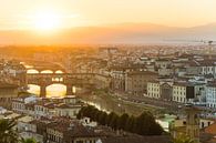 Vue de la vieille ville de Florence sur Shanti Hesse Aperçu
