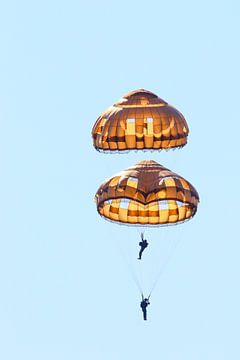 Parachutes van Anne Ponsen