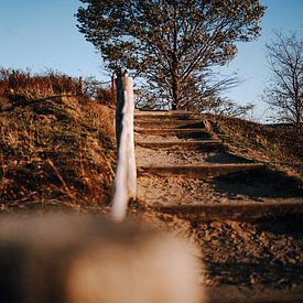 Wanderweg entlang der Teufelsmauer im Harz von Katrin Friedl Fotografie