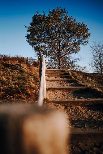 Wandelpad langs de Duivelsmuur in het Harzgebergte