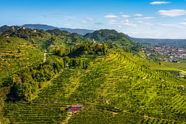 Prosecco Hills Aerial View with San Lorenzo Church, Italy by Stefano Orazzini