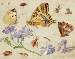 Schmetterlinge, andere Insekten und Blumen, Jan van Kessel