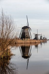 Kinderdeich mit 5 Windmühlen