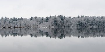 windless and cold by Sven Scraeyen