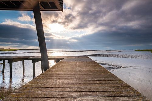 View of the Eems Delta from the Kiekkaaste