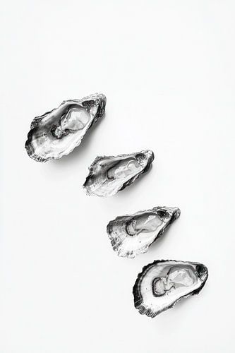 Vier oesters in zwart wit