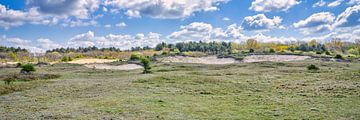 landschap vanuit het duin Noordhollands duinreservaat van eric van der eijk