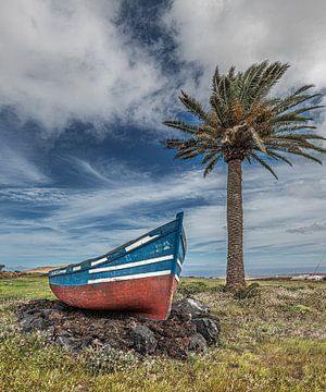 Kleine vissersbootje op het droge onder een Palmboom van Harrie Muis