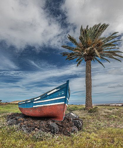 Small fishing boat on dry land under a Palm tree