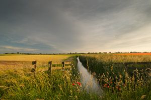 Mohnblumen in der weiten Landschaft von Moetwil en van Dijk - Fotografie
