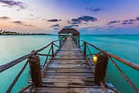 Zanzibar jetty bar