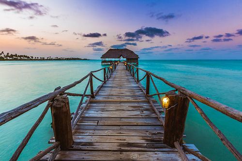 Bar de la jetée de Zanzibar sur Andy Troy