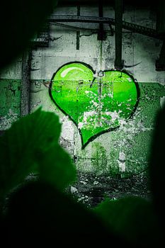 Het hart in verval - hoop te midden van de ruïnes