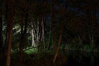 Landschaft bei Nacht von Raoul Suermondt Miniaturansicht
