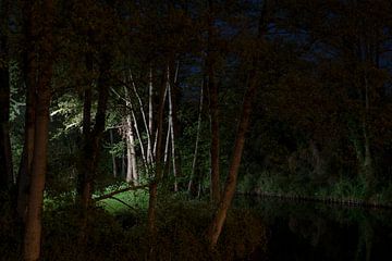 Landschap bij nacht