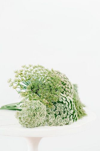 Natural flower still life in green and white