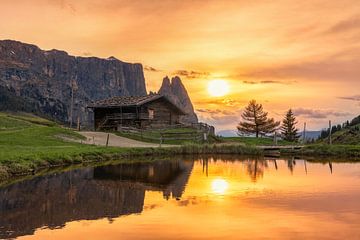 Berghutten op de Alpe di Siusi in de Dolomieten van Dieter Meyrl