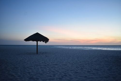 Parasol d'Aruba