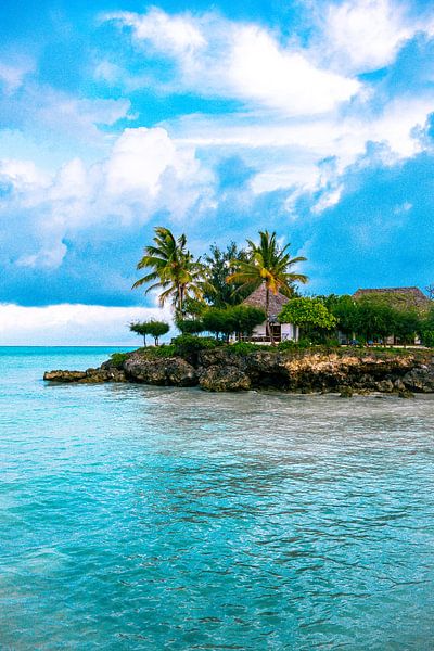 Tropical Zanzibar by Lisette van Leeuwen