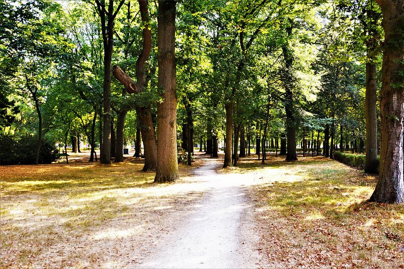 De Brink in Muiderberg par David van Coowijk