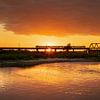IJssel railway bridge with train near Deventer in golden hour by Karla Leeftink