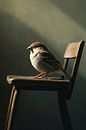 A house sparrow in the light by Bianca ter Riet thumbnail