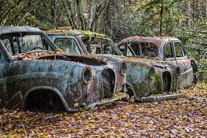 Rostige Hinterlassenschaften im Wald - Autofriedhof in Schweden