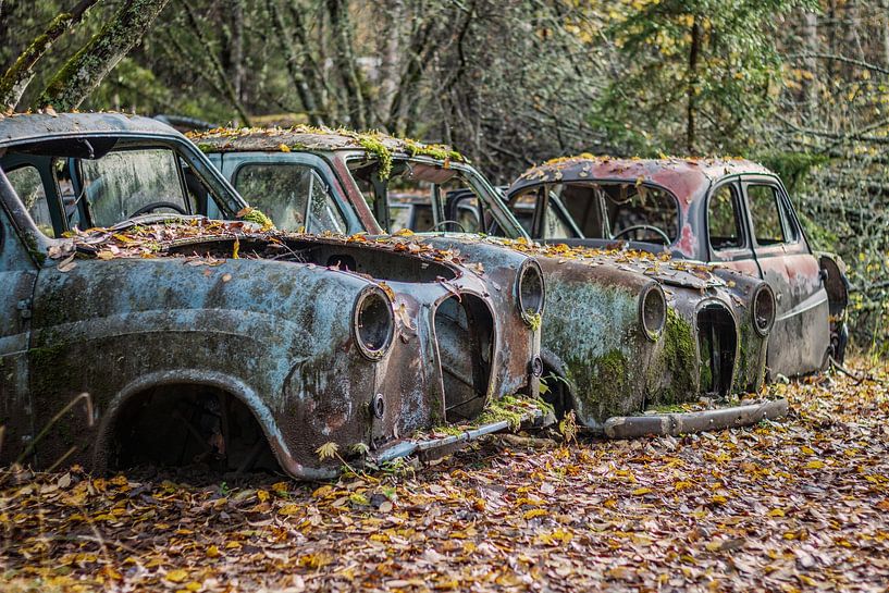 Rostige Hinterlassenschaften im Wald - Autofriedhof in Schweden von Gentleman of Decay