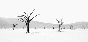 Deadvlei en Namibie en noir et blanc sur Tilo Grellmann