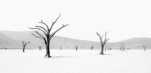Deadvlei in Namibia in schwarzweiss