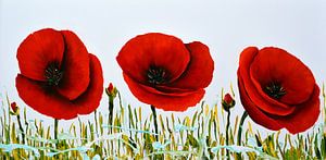 Coquelicot sur Gena Theheartofart