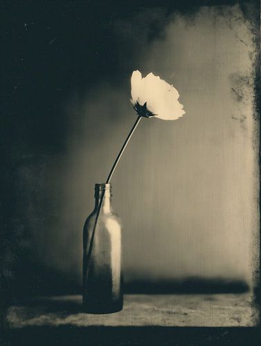 Bloem in Vaas Nr 8
