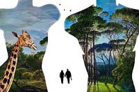 Paradise shopping (outline with giraffe and painting)