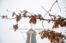 Winters Leiden von Melanie van der Rijt