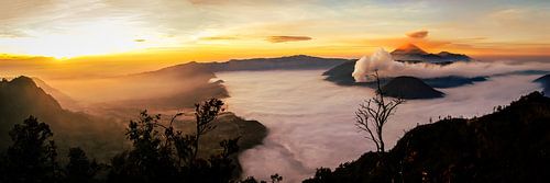 Panorama zonsopgang bij de berg Bromo op Java Indonesië